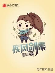 海贼之疾风剑豪 作者洛年有知