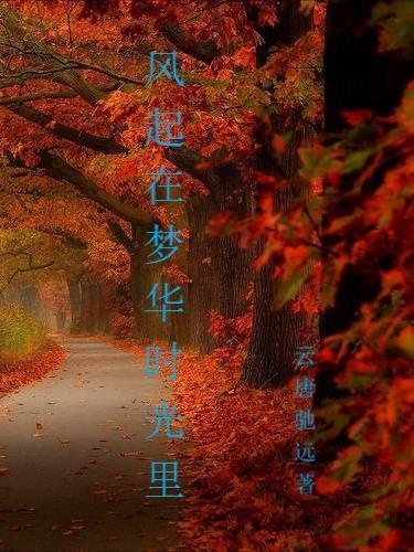 风在起时角色介绍