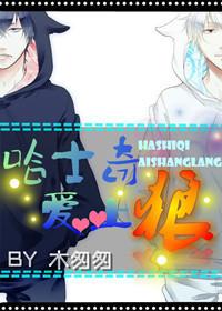 狼遇哈士奇