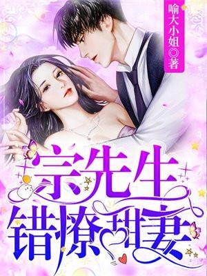 宗先生的追妻宫心计