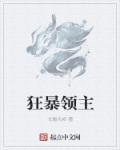 风暴领主图片