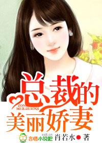 总裁的美丽娇妻漫画