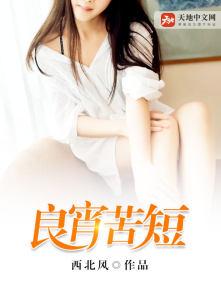 良宵苦短的经典句子