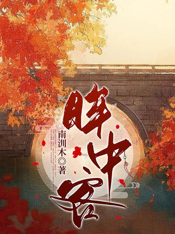 眸中客讲的啥