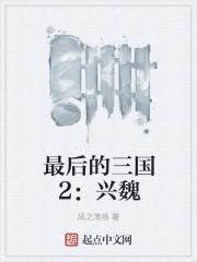 最后的三国2:兴魏